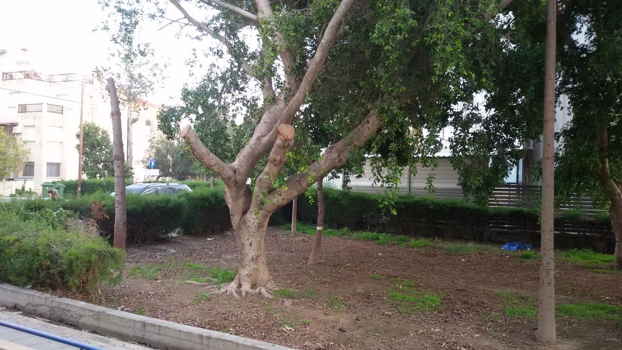 לרנקה Lca2 Flat For You Apartment מראה חיצוני תמונה